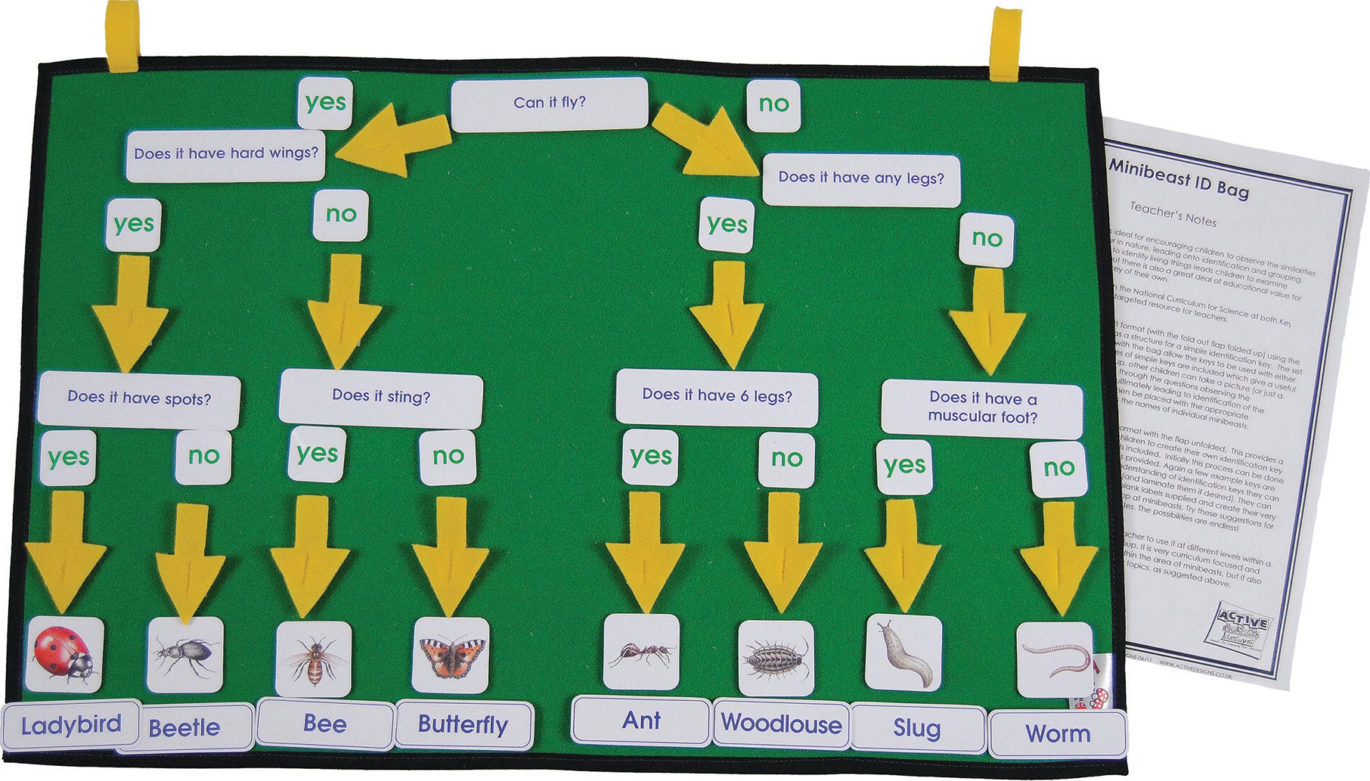 Mini Beasts - The Ministry of Outdoor Education