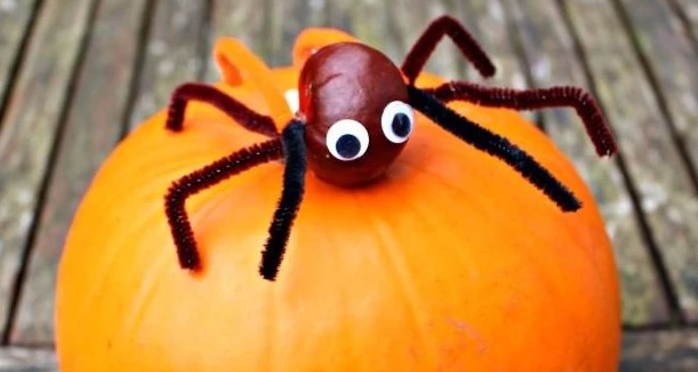 autumn craft spider