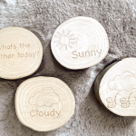 wooden weather slices