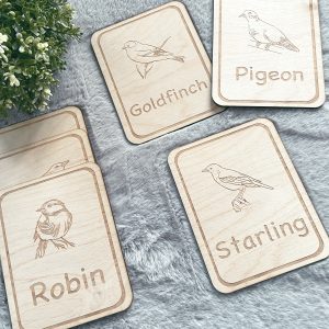 wooden garden birds flash cards