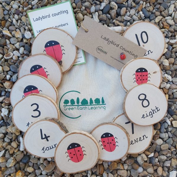 wooden ladybird counting pack