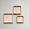 Square Sorting Trays Set of 3